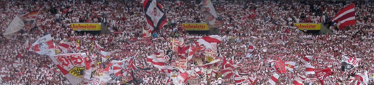 SW-Ruppertshofen 07 | VfB-Fanclub